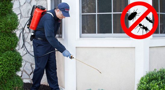 Gölköy Hamam Böceği İlaçlama böcek ilaçlama ve haşere kontrolü — ilaclama-tr.com
